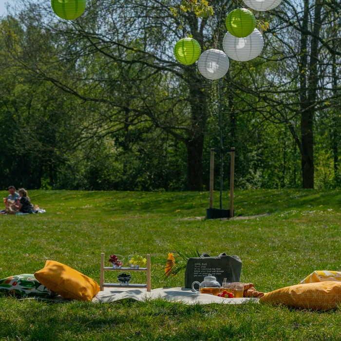 Picknickkleed