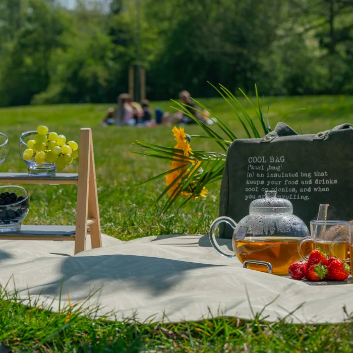 Picknickkleed – foto 2