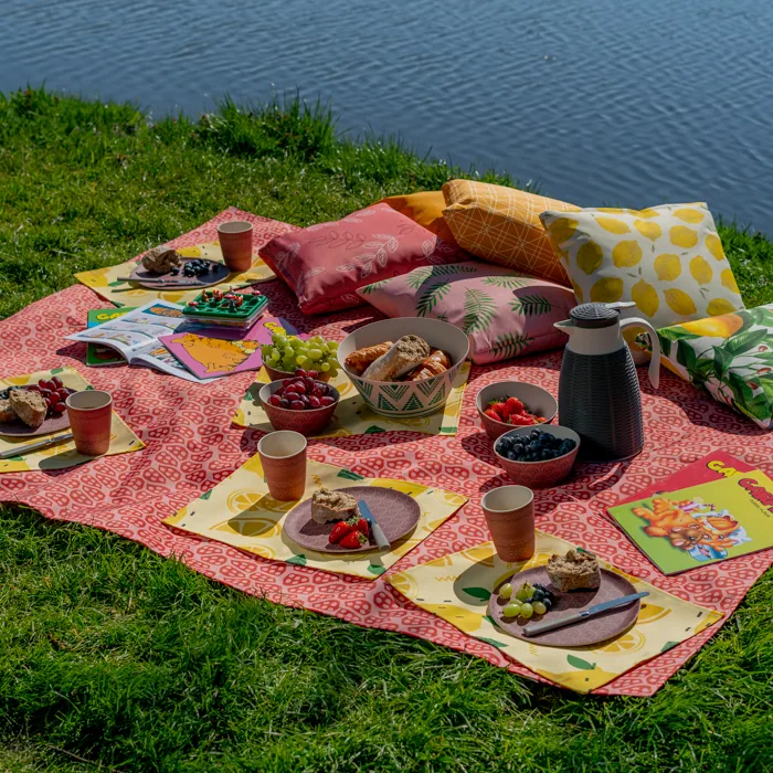Placemats – foto 3