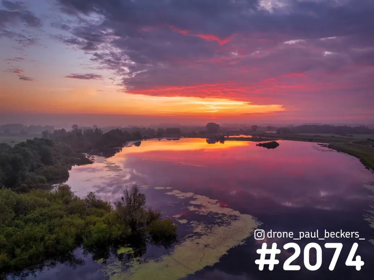 Luchtfoto van een rustig water in de Ooijpolder bij zonsopkomst, met roze en oranje wolken die weerspiegelen en groen kroos