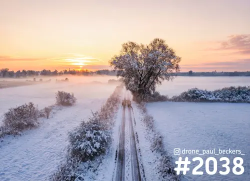 Luchtfoto van de besneeuwde Ooijpolder bij zonsopkomst, met een boom en een landweg door de mist