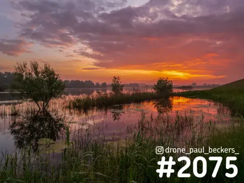 Zonsopkomst boven natte uiterwaarden in de Ooijpolder bij Nijmegen, met oranje wolken die weerspiegelen in het water tussen riet en struiken