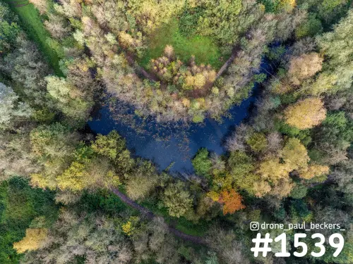 Luchtfoto recht van boven op een donkere poel omringd door herfstbomen bij Beek-Ubbergen, met kronkelende paden