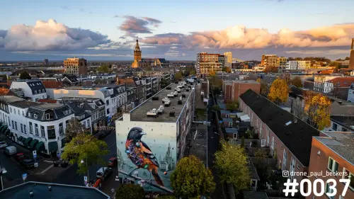 Luchtfoto van het centrum van Nijmegen in herfstlicht, met een vogel-muurschildering en de Stevenskerk in de verte