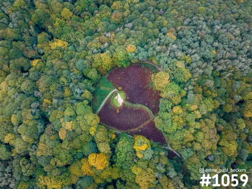 Luchtfoto van de Duivelsberg bij Nijmegen in de herfst, met een paarsbruin heideveld in een open plek tussen geel en groen bos
