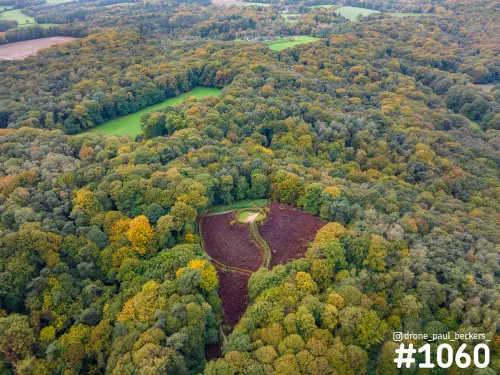 Luchtfoto van het herfstbos op de Duivelsberg bij Nijmegen met een hartvormige paarsrode open plek tussen de bomen