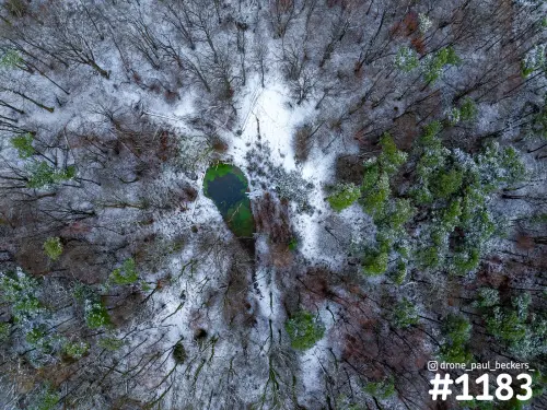 Luchtfoto recht van boven van een kleine groene poel in een besneeuwd bos op de Duivelsberg bij Nijmegen