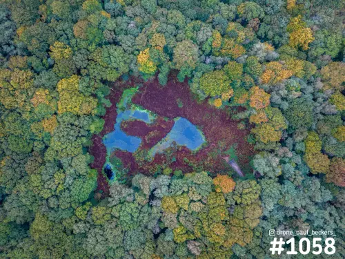Luchtfoto van een vennetje op de Duivelsberg bij Nijmegen, omringd door herfstbos met roodbruine heide en blauw water