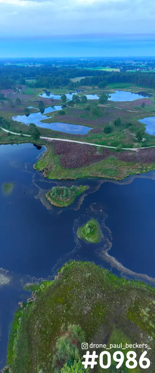 Luchtfoto van de Hatertse Vennen met bloeiende heide, vennen en kleine eilandjes onder een blauwe schemerlucht
