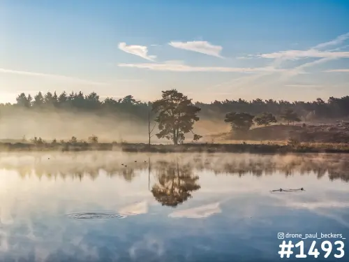 Hatertse Vennen in de ochtendmist, met een vrijstaande den die weerspiegelt in het stille water en eenden op het ven