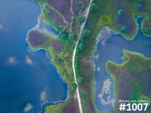 Luchtfoto van de Hatertse Vennen bij Nijmegen met paarse heide, een zandpad tussen de vennen en blauw water