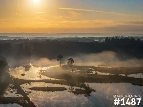 Luchtfoto van de Hatertse Vennen bij zonsopkomst, met mist boven het water en twee losse dennen op een smalle landtong