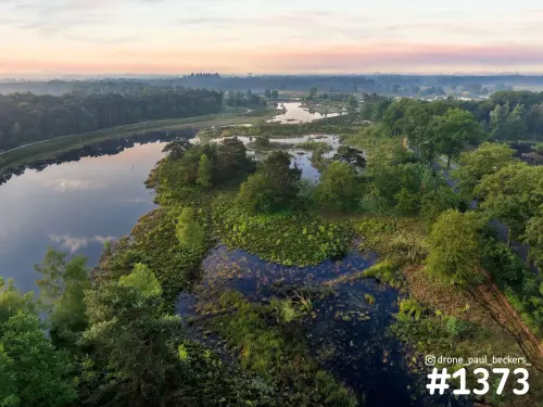 Luchtfoto van de Hatertse Vennen bij Nijmegen in de vroege ochtend, met stilstaand water, moerasvegetatie en lichte mist boven de bossen