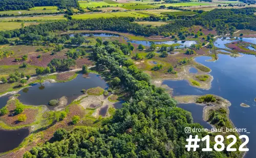 Luchtfoto van de Hatertse Vennen bij Nijmegen met paarse heide, vennen en dennenbos, met weilanden op de achtergrond