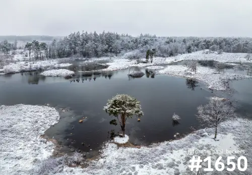 Luchtfoto van de Hatertse Vennen in de sneeuw, met een besneeuwde den op een eilandje in donker water