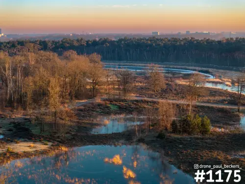 Luchtfoto van de Hatertse Vennen met vennen die het oranje licht weerspiegelen, kale bomen en dennenbos op de achtergrond