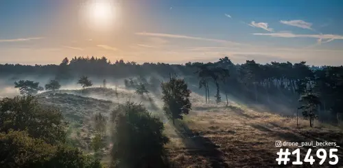Luchtfoto van heuvelachtig heideterrein bij de Hatertse Vennen met laagstaande zon en mist tussen de dennenbomen