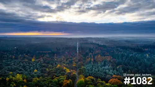 Luchtfoto van een rechte weg door herfstbos bij Heilig Landstichting, met oranje gloed onder donkere wolken bij zonsopkomst