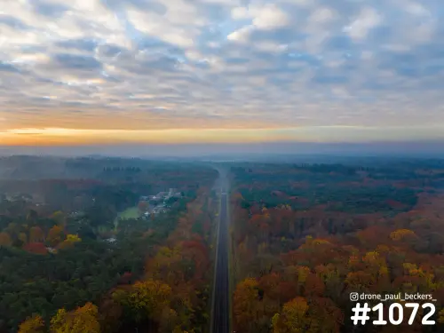 Luchtfoto van een rechte weg door herfstbos in oranje en geel, onder een wolkenlucht bij zonsopkomst met lichte mist