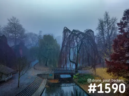 Luchtfoto van het Kronenburgerpark in Nijmegen in de herfstmist, met een treurwilg boven een vijver en een brugje