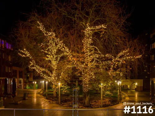 Luchtfoto van een grote boom met warme kerstverlichting op een plein in Nijmegen bij nacht, omringd door lantaarnpalen