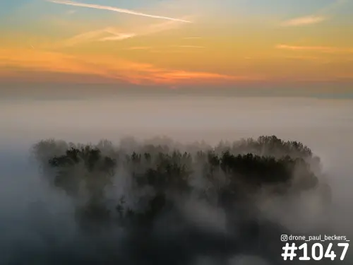Luchtfoto van een bosje in de Ooijpolder bij Nijmegen, omhuld door dikke mist onder een oranje ochtendlucht