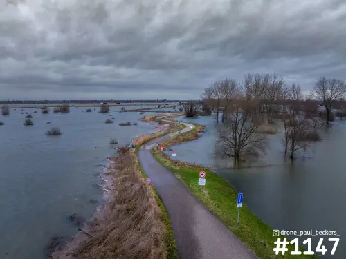 Luchtfoto van een dijkweg door de overstroomde Ooijpolder, met kale bomen in het water en een grijze, bewolkte lucht
