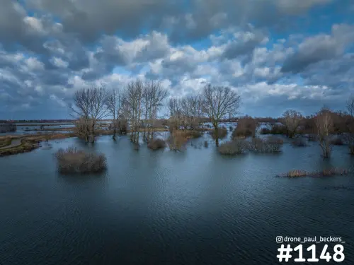 Overstroomde Ooijpolder bij Nijmegen met kale bomen en struiken in het hoge water onder een dreigende wolkenlucht