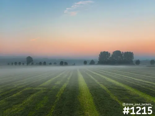 Luchtfoto van een gemaaid grasland in de Ooijpolder bij zonsopkomst, met laaghangende mist en maaibanen in het gras