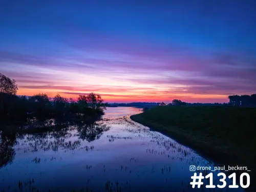 Ondergelopen uiterwaard in de Ooijpolder bij Nijmegen tijdens zonsopkomst, met paarsroze lucht die weerspiegelt in het water