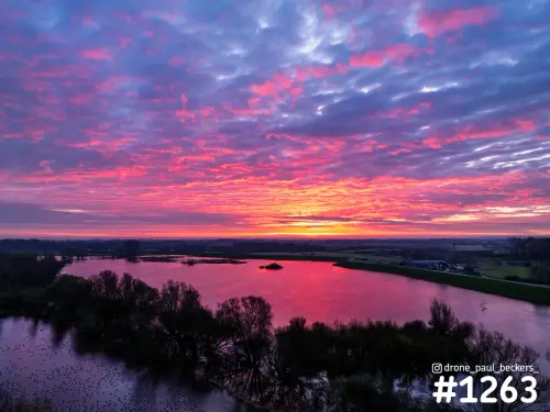 Luchtfoto van de Ooijpolder bij Nijmegen met roze en paarse wolkenlucht die weerspiegelt in water tussen kale bomen