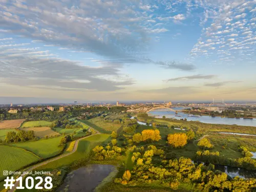 Luchtfoto van de Ooijpolder en de Waal met de Waalbrug in Nijmegen aan de horizon, gele herfstbomen in laag zonlicht