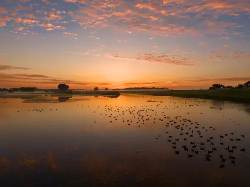 Luchtfoto van de Ooijpolder bij zonsopkomst met watervogels op spiegelend water onder een oranje wolkenlucht