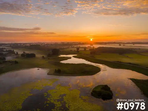 Luchtfoto van de Ooijpolder bij zonsopkomst, met laaghangende mist en gele waterplanten in een kronkelend water