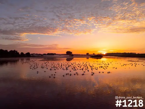Luchtfoto van de Ooijpolder bij zonsopkomst, met een groep watervogels op spiegelend water onder een oranje wolkenlucht