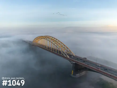 Luchtfoto van de Waalbrug in Nijmegen met gele boogconstructie boven een dik mistdek op de Waal, met vogels in V-formatie
