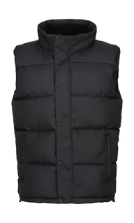 Regatta Professional Northdale Insulated Bodywarmer in Black, voorkant