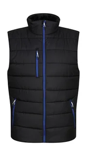 Regatta Professional Heren Navigate thermische bodywarmer in Black/New Royal, voorkant