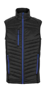 Regatta Professional Heren Navigate hybride bodywarmer in Black/New Royal, voorkant