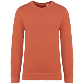 Native Spirit Eco-friendly unisex French Terry crew neck sweatshirt in Washed Pomelo, voorkant