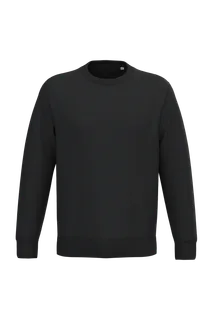 Native Spirit Ecologische uniseks sweater met ronde hals in Black, voorkant