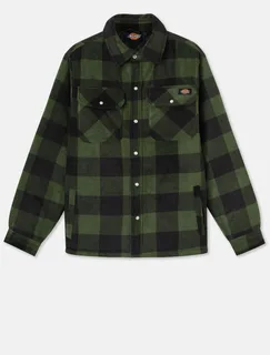 Dickies Portland shirt in Green / Black, voorkant