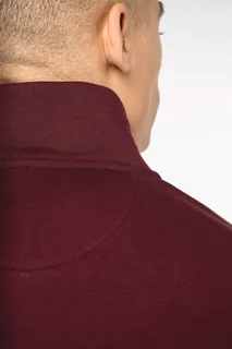 Native Spirit Ecologische herensweater met opstaande ritskraag – foto 7