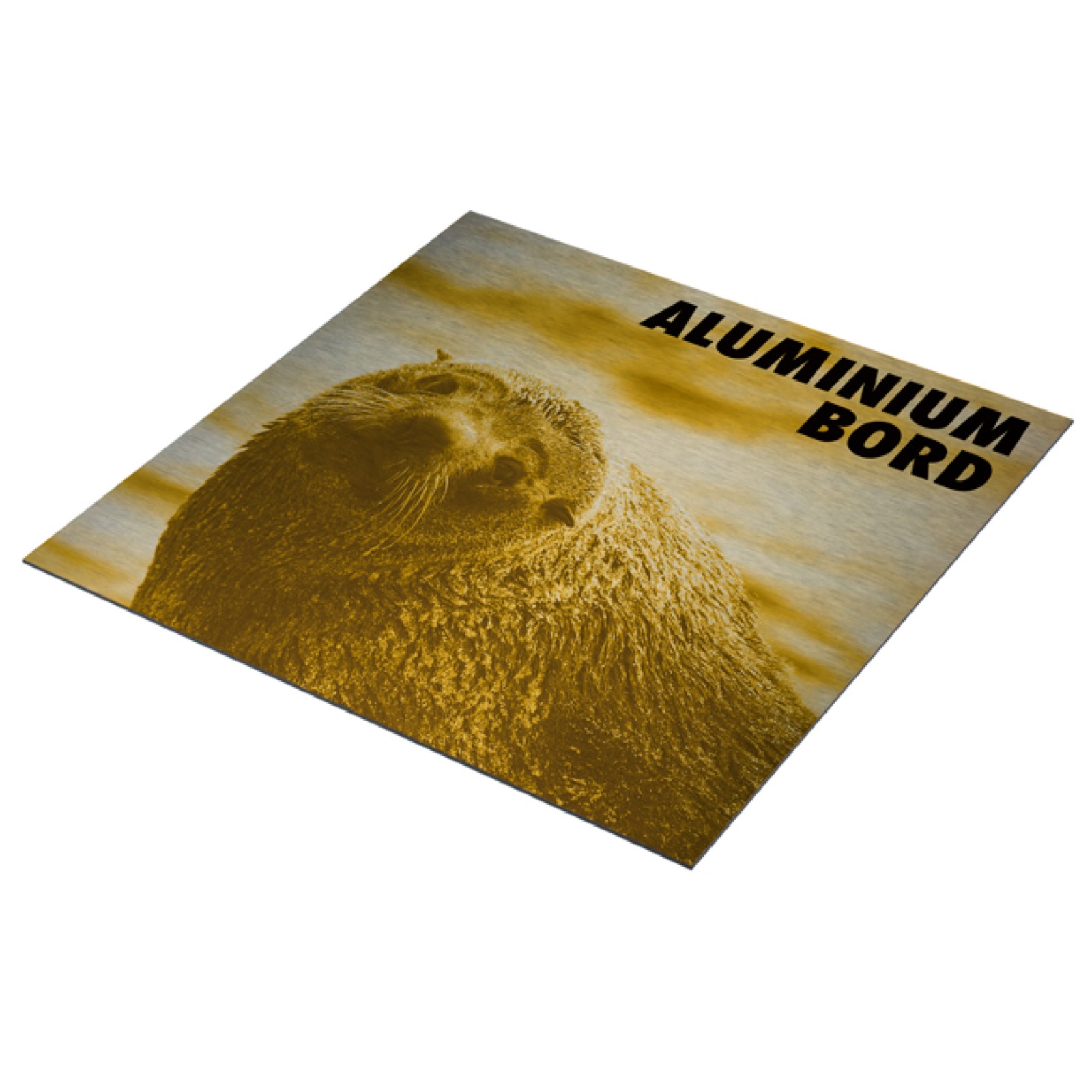 Aluminium bord – binnenreclame in Nijmegen