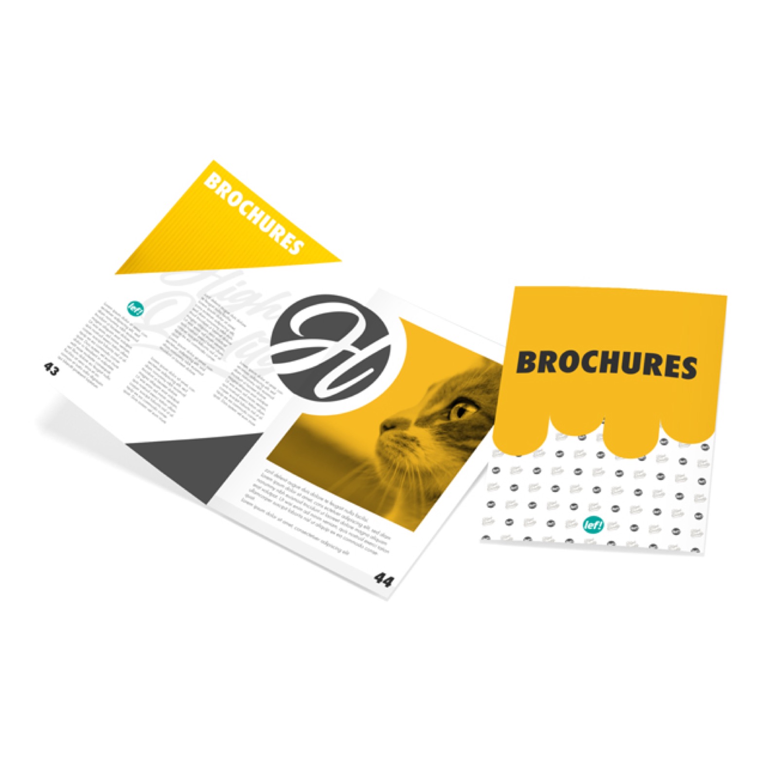 Brochures – binnenreclame in Nijmegen