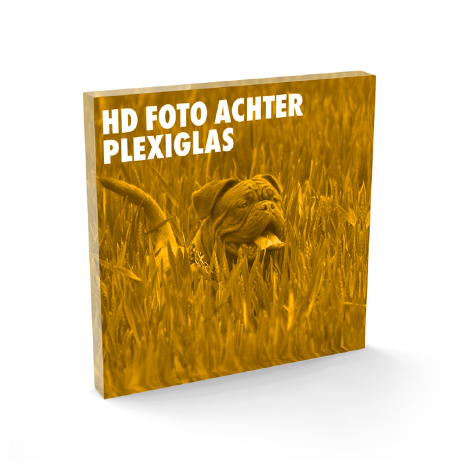 HD Foto achter plexiglas – interieur in Nijmegen