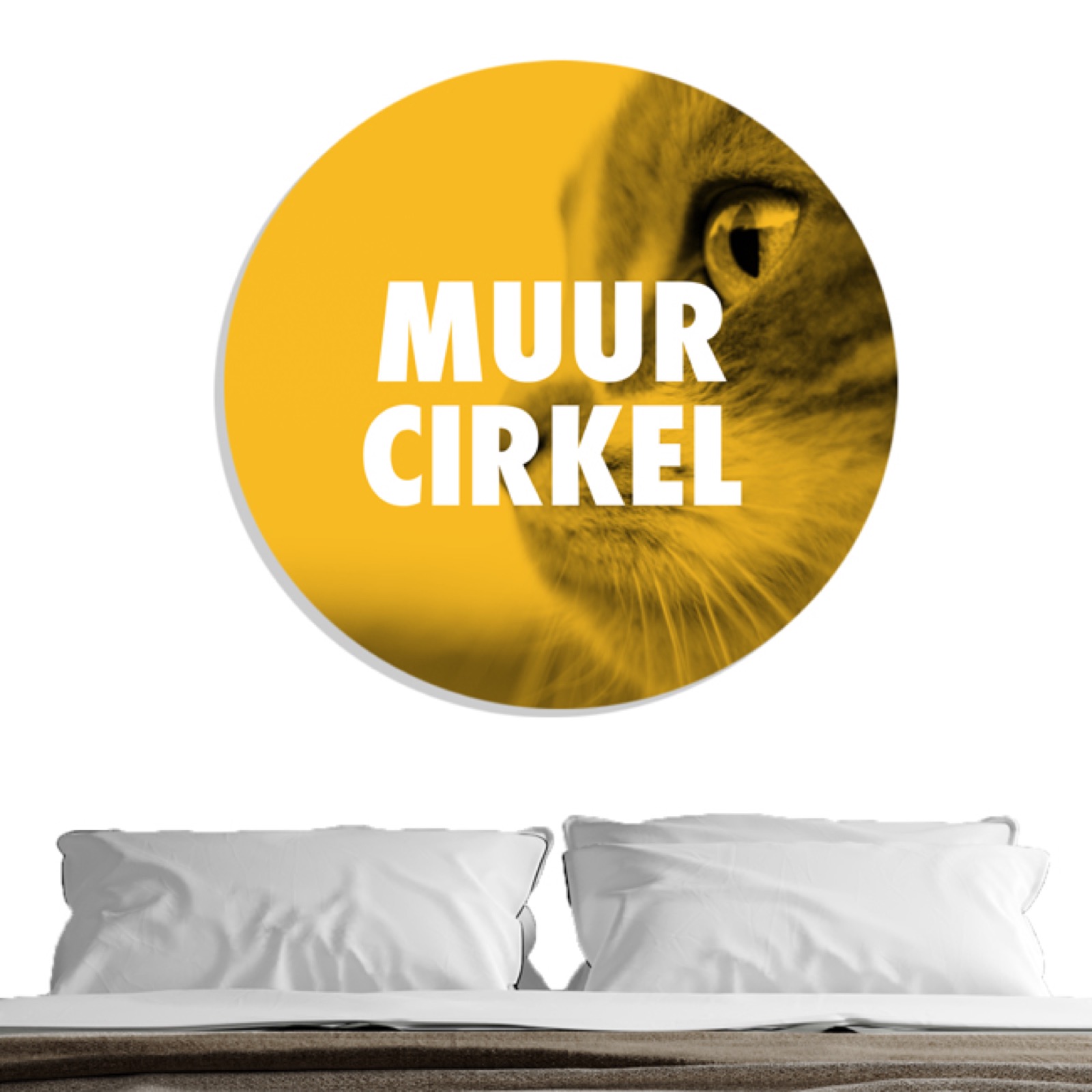 Muurcirkel – interieur in Nijmegen